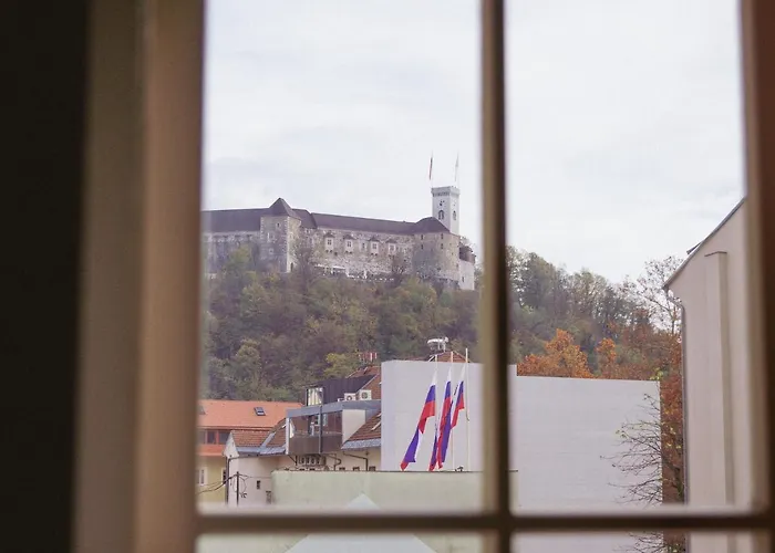 Apartament Suja Nuja *