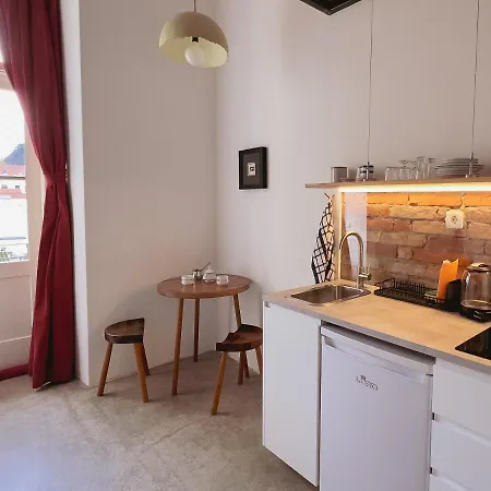 Suja Nuja 아파트 류블랴나