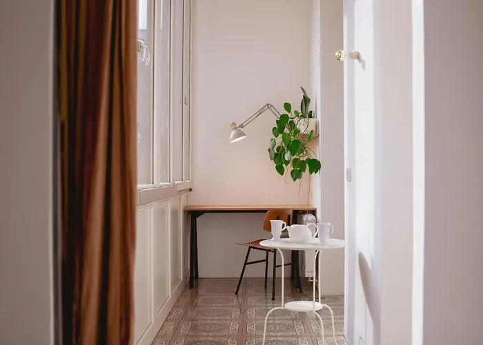 Suja Nuja לובליאנה